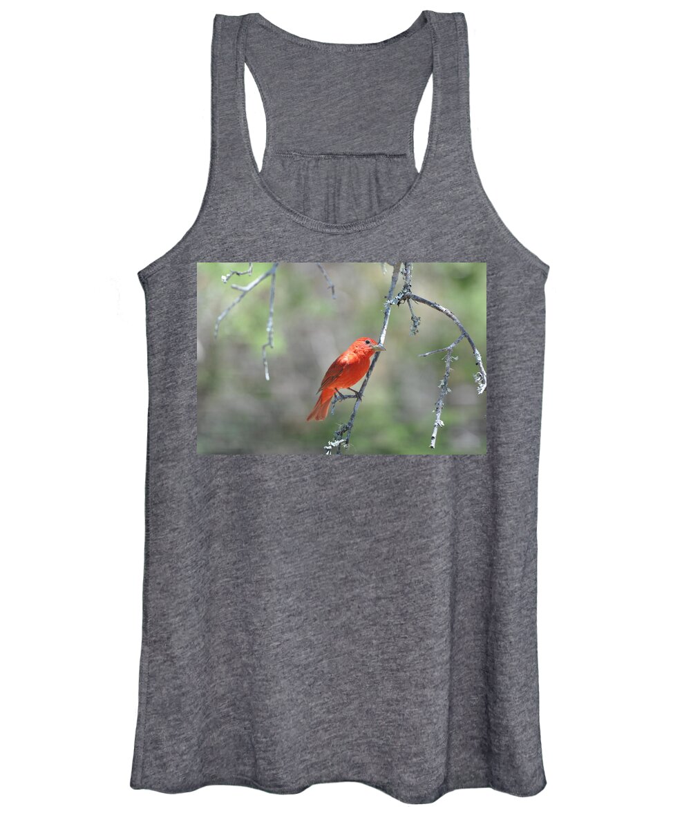 Red Women's Tank Top featuring the photograph Summer Tanager by Frank Madia