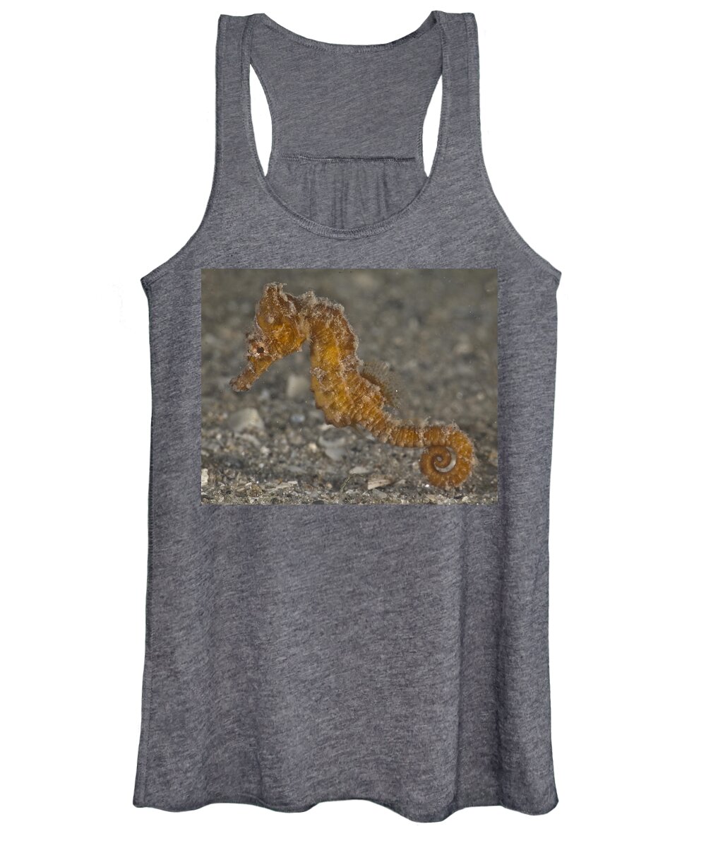 Seahorse Women's Tank Top featuring the photograph The Baby Seahorse by Sandra Edwards