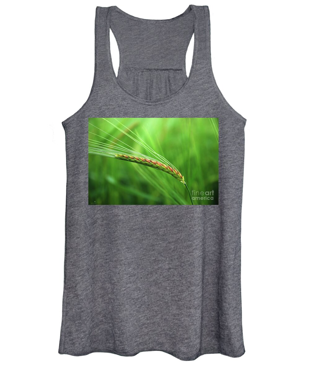 Corn Women's Tank Top featuring the photograph The Corn by Hannes Cmarits