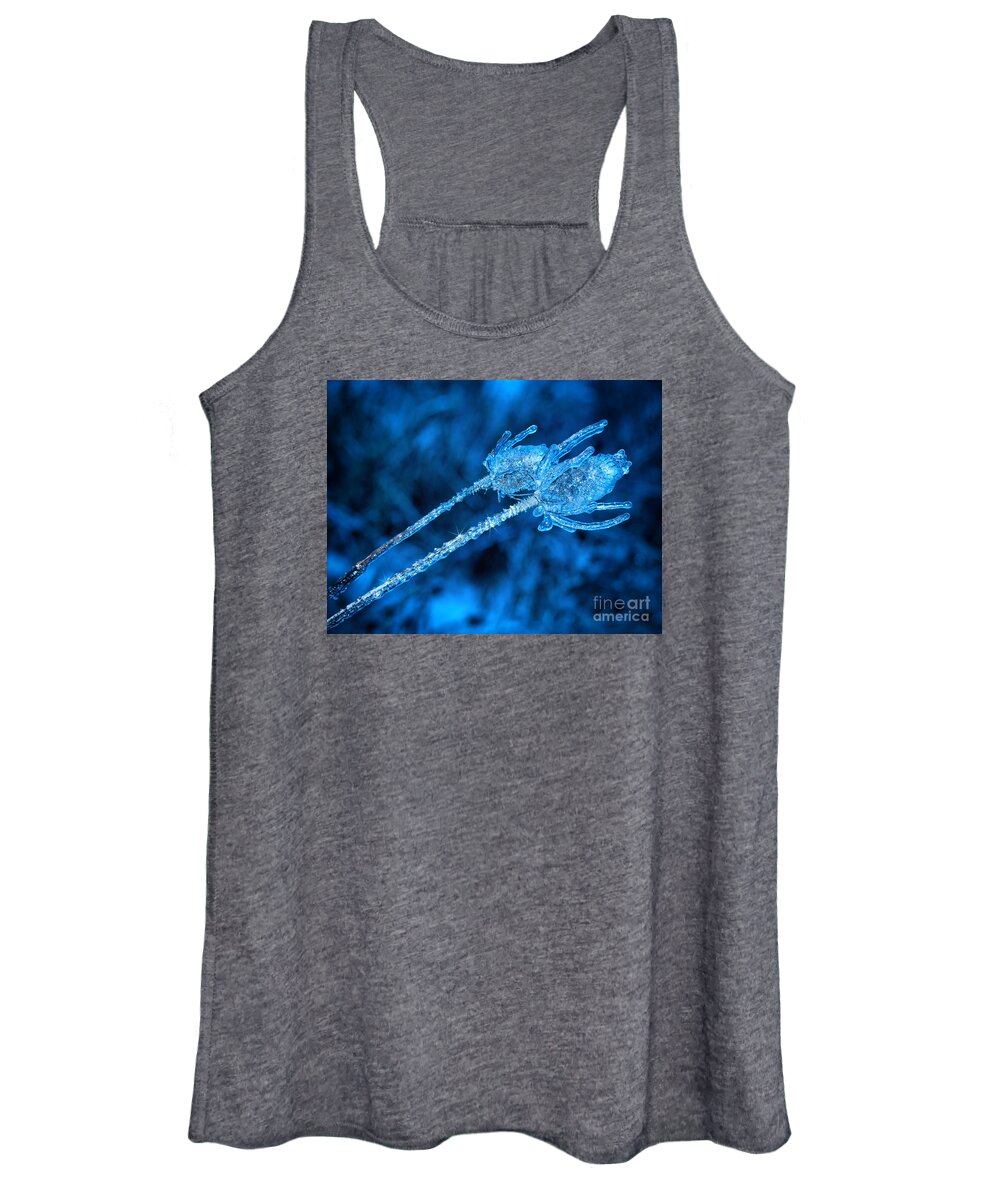 Thistle Women's Tank Top featuring the photograph Thistle plant on icy night by Les Palenik