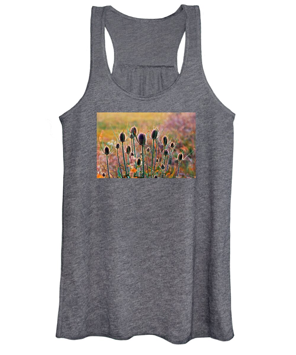 Thistles Women's Tank Top featuring the photograph Thistles With Sunset Light by Mikel Martinez de Osaba