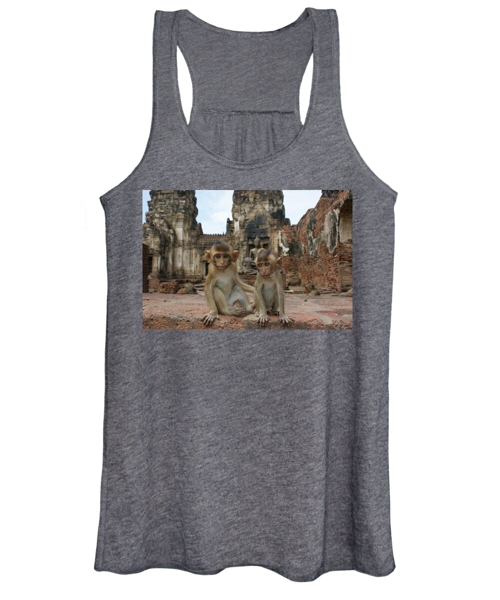 Young Animal Women's Tank Top featuring the photograph Two baby Macaques by Brian Kamprath