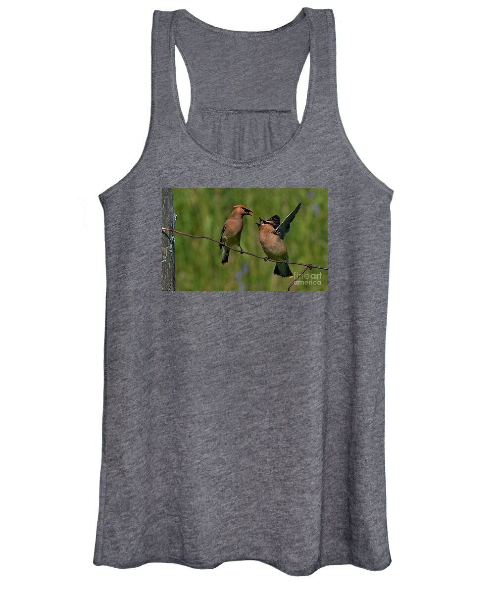 Festblues Women's Tank Top featuring the photograph Waxwing Love.. by Nina Stavlund