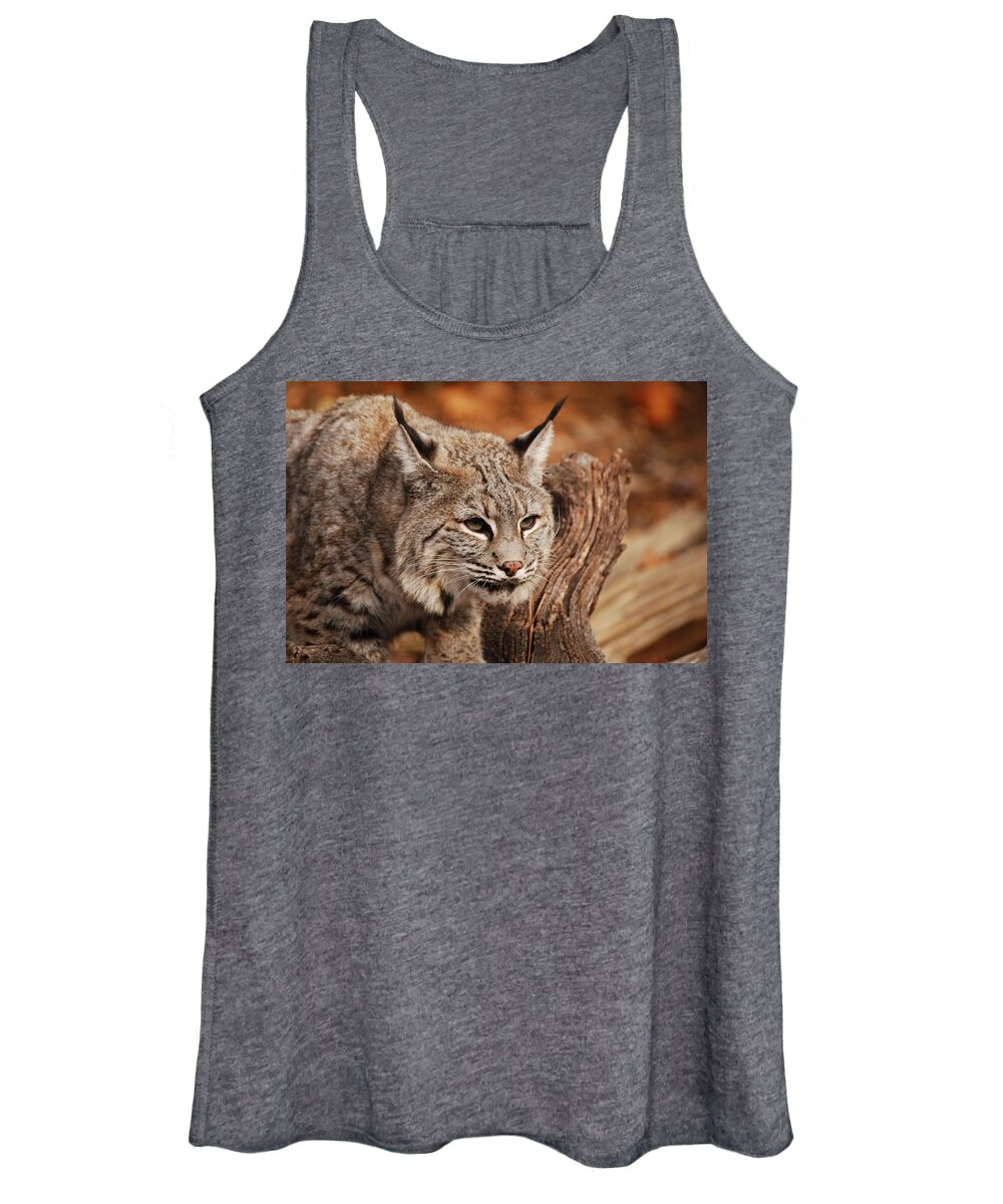 Bobcat Women's Tank Top featuring the photograph What A Face by Lori Tambakis