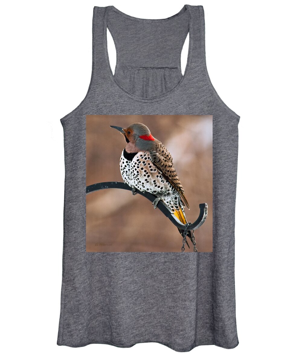Yellow Shafted Northern Flicker Women's Tank Top featuring the photograph Yellow-shafted Northern Flicker by Ed Peterson