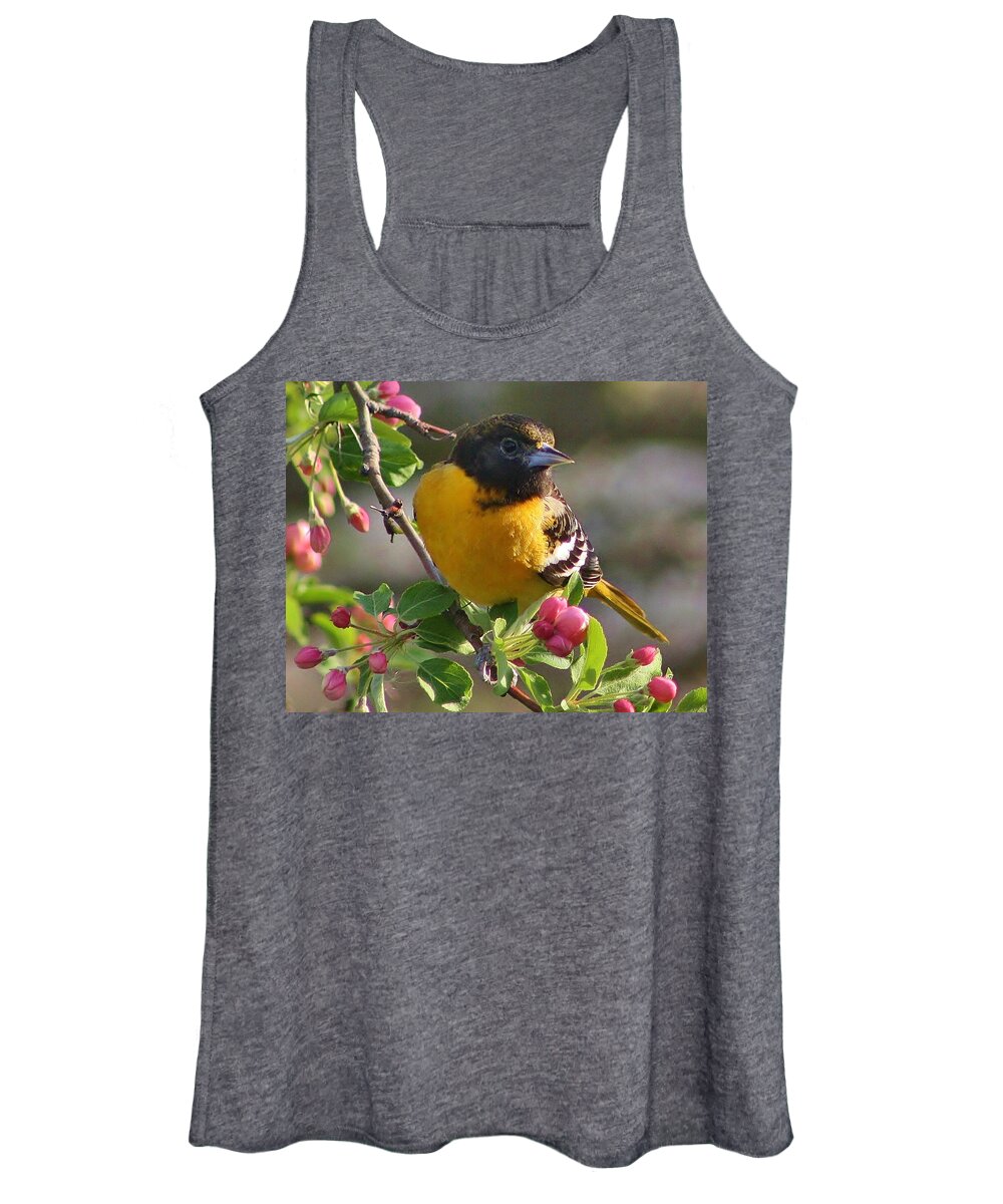 Oriole Women's Tank Top featuring the photograph Young Male Oriole by Bruce Bley