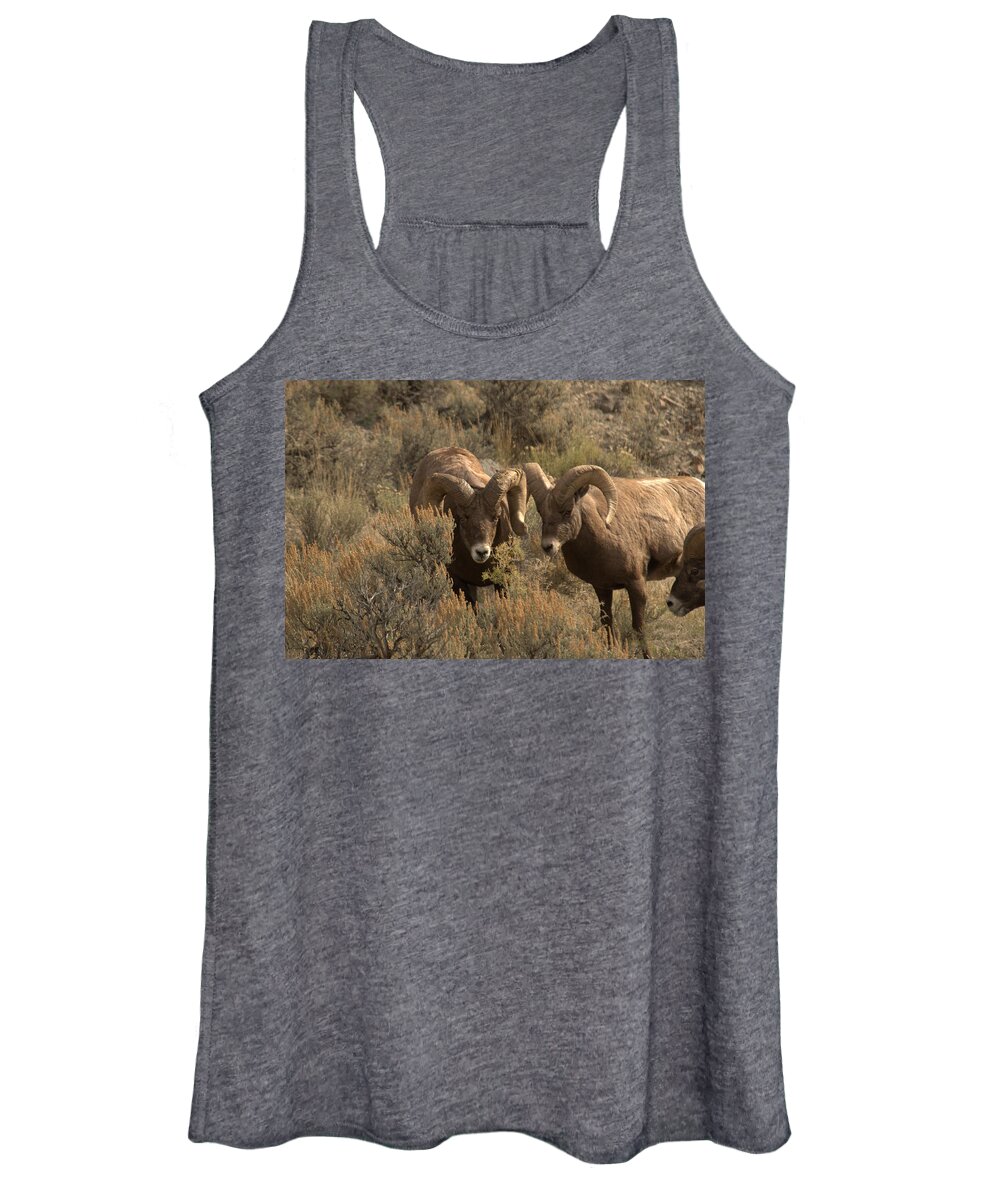 Sheep Women's Tank Top featuring the photograph You are in my way by Frank Madia