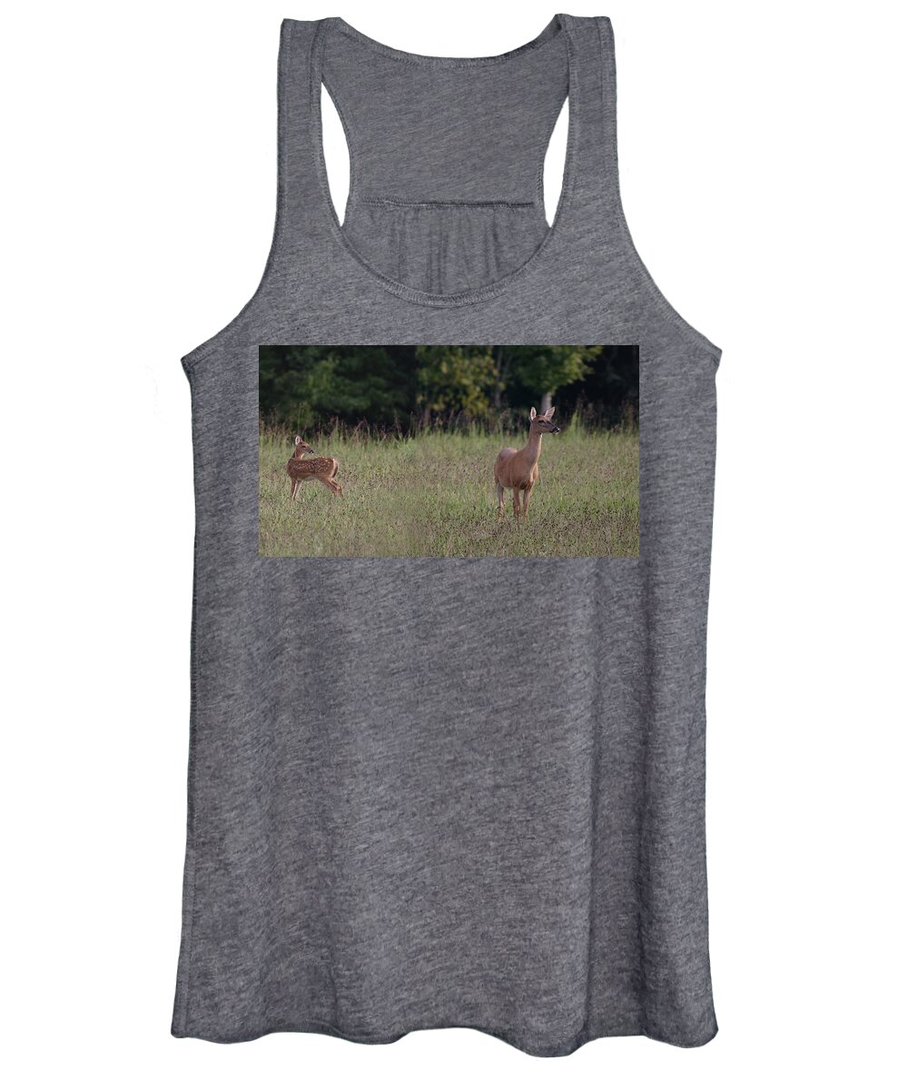 Odocoileus Virginanus Women's Tank Top featuring the photograph Alert Doe And Fawn by Daniel Reed