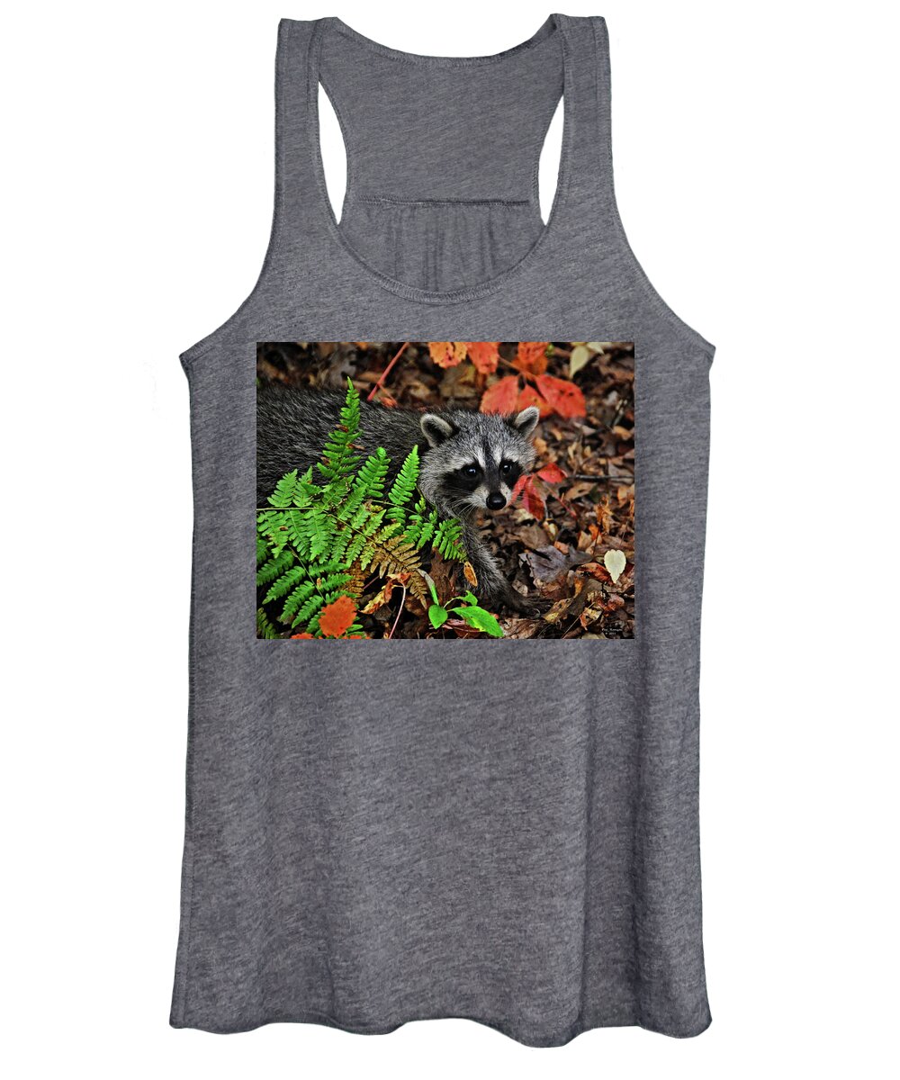 Nature Women's Tank Top featuring the photograph Autumn Raccoon by Peg Runyan