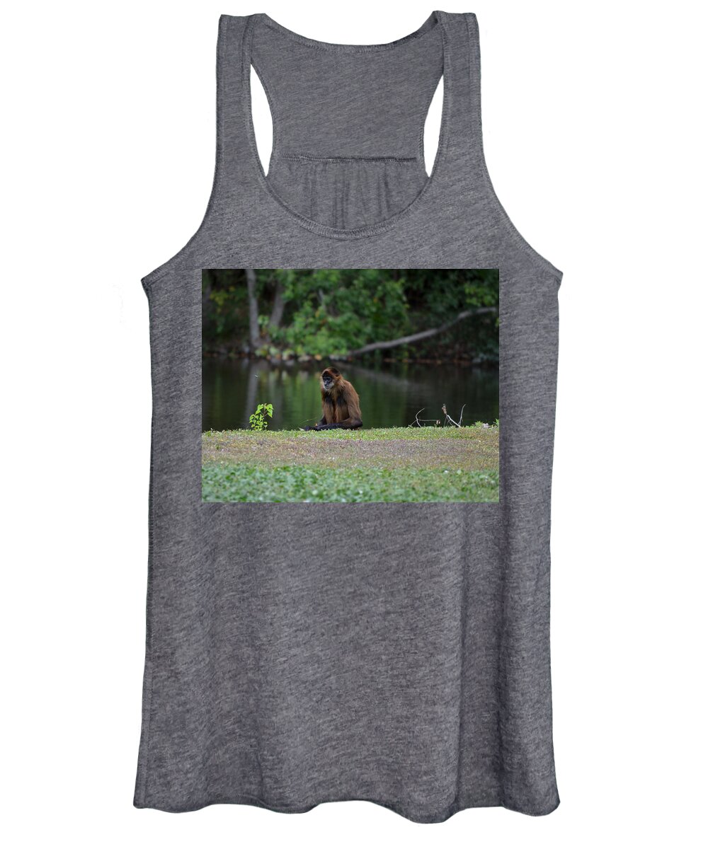 Monkey Women's Tank Top featuring the photograph Black Handed Spider Monkey by Maggy Marsh