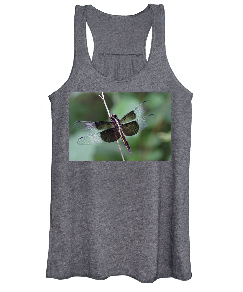 Insect Women's Tank Top featuring the photograph Dragonfly by Daniel Reed