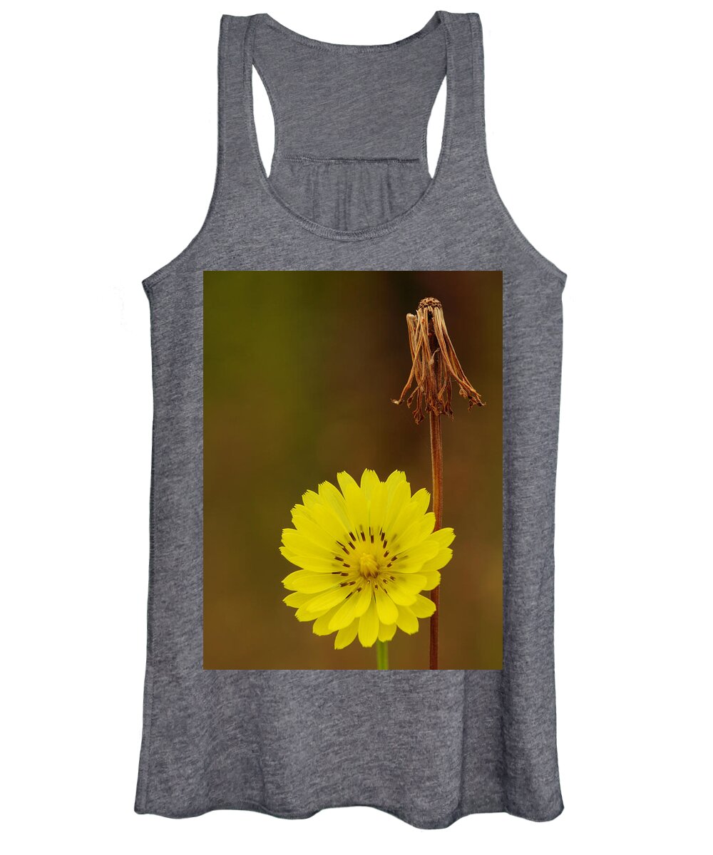 Pyrrhopappus Carolinianus Women's Tank Top featuring the photograph False Dandelion Flower With Wilted Fruit by Daniel Reed
