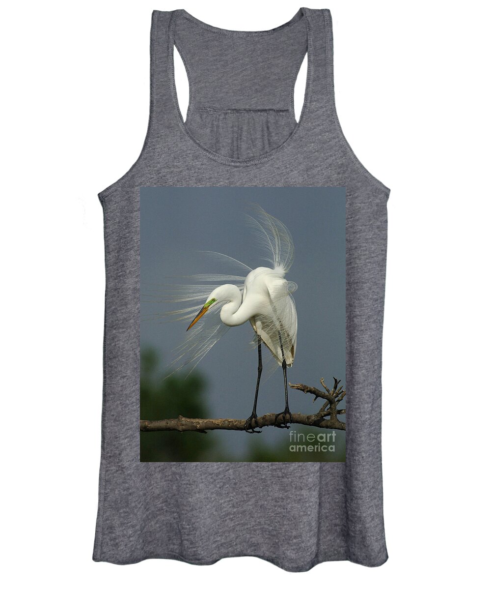 Great Egret Women's Tank Top featuring the photograph Great Egret by Bob Christopher