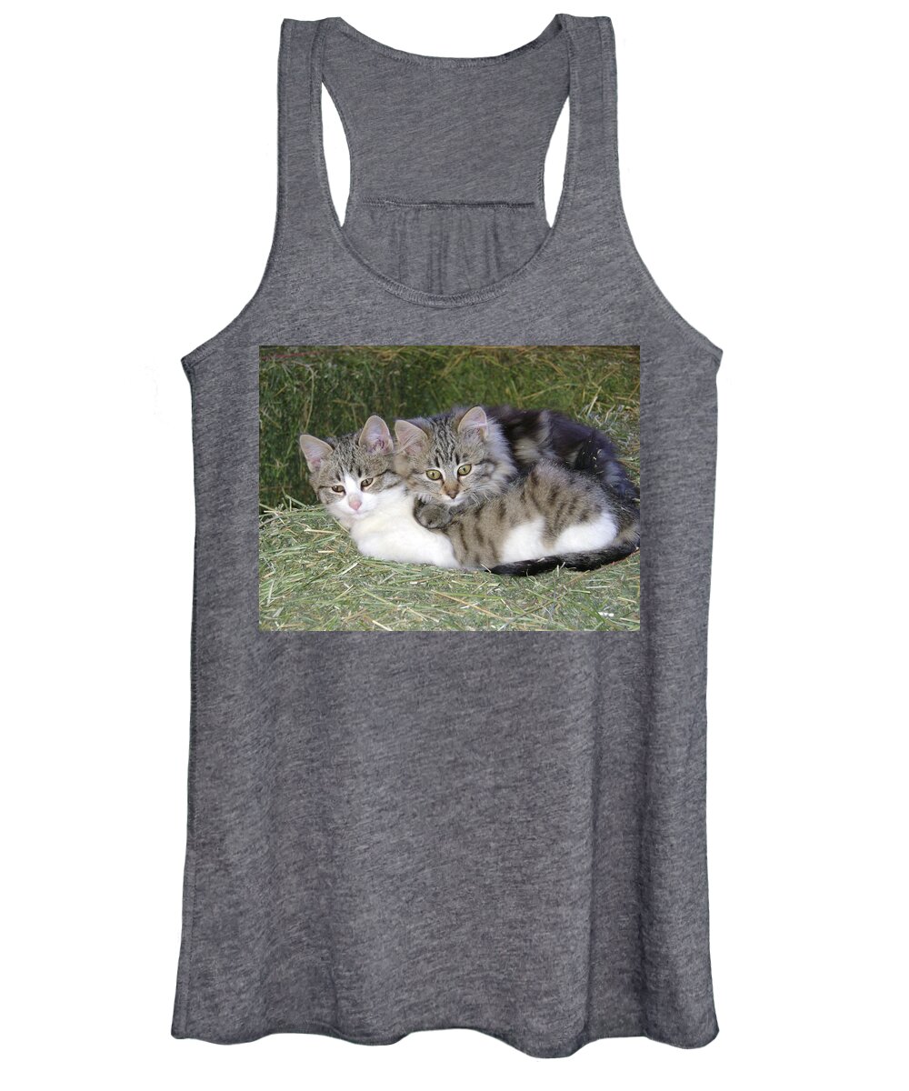 Cat Women's Tank Top featuring the photograph Haystack Buddies by Charles and Melisa Morrison