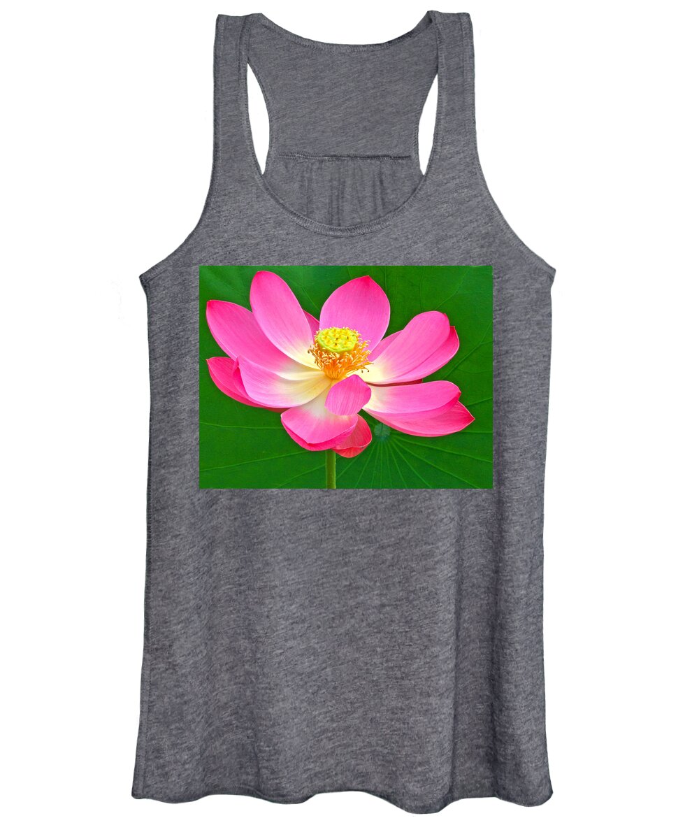Flower Women's Tank Top featuring the photograph Lotus by Jean Noren
