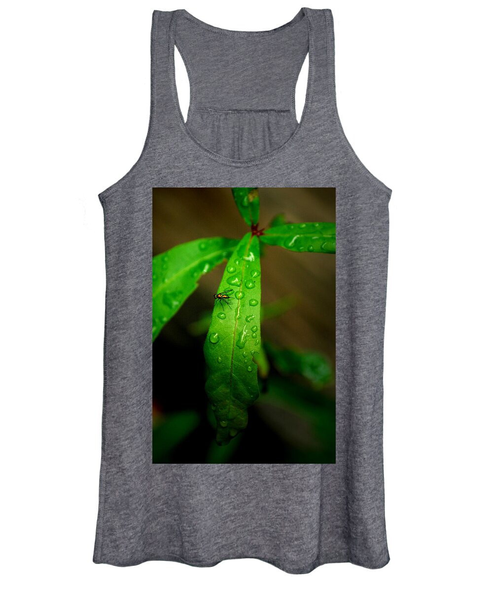 Leaf Women's Tank Top featuring the photograph Rain by David Weeks