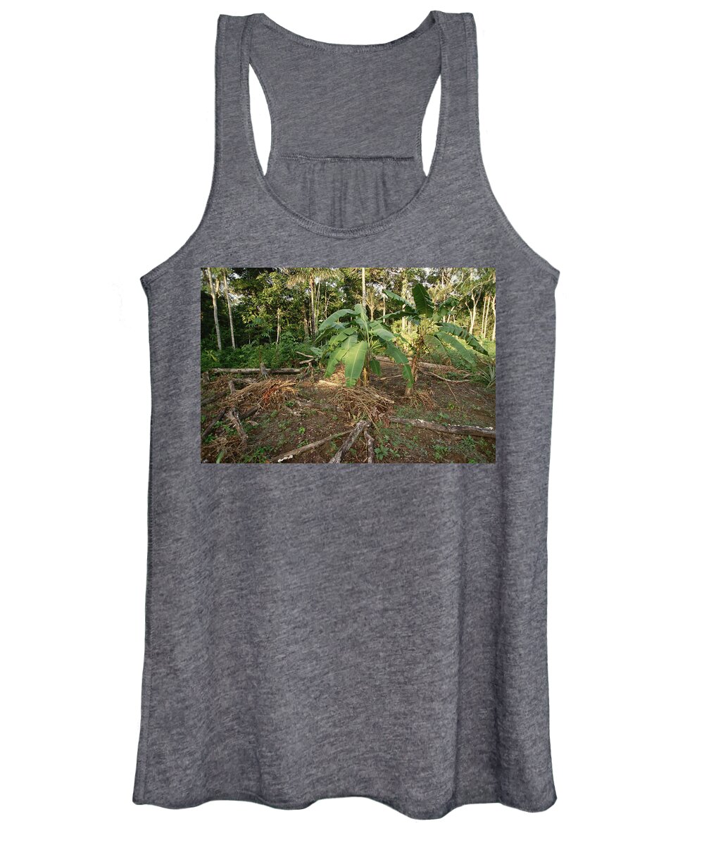 Mp Women's Tank Top featuring the photograph Rainforest Slash And Burn Destruction by Gerry Ellis