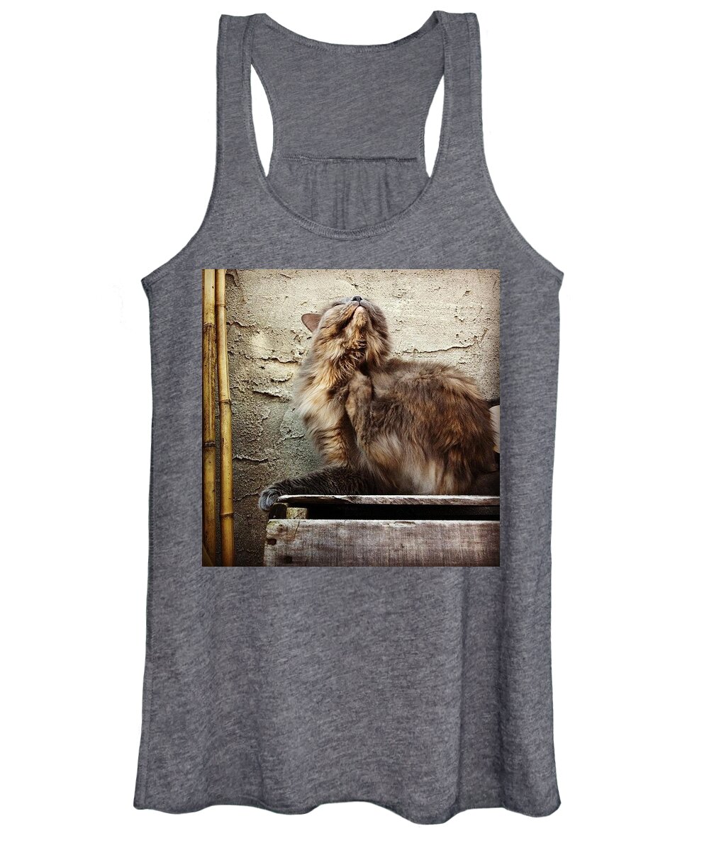 Cat Women's Tank Top featuring the photograph Scritch Scratch by Katie Cupcakes