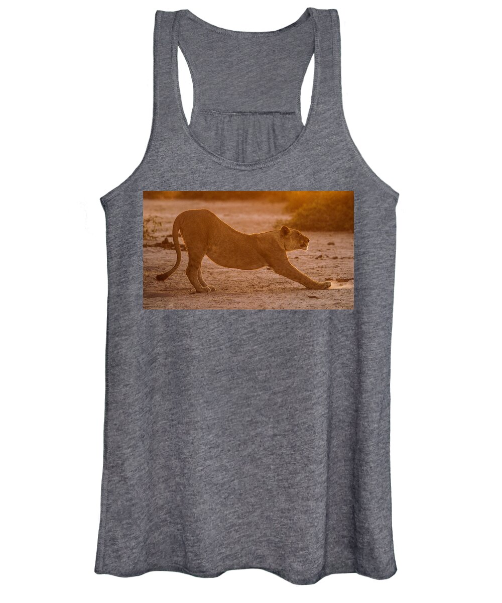 Action Women's Tank Top featuring the photograph Sun stretch by Alistair Lyne