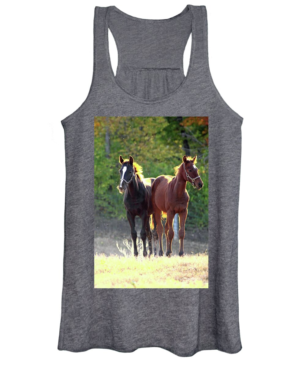 Thorougbred Race Horse Women's Tank Top featuring the photograph 'Sunlight Babies' by PJQandFriends Photography