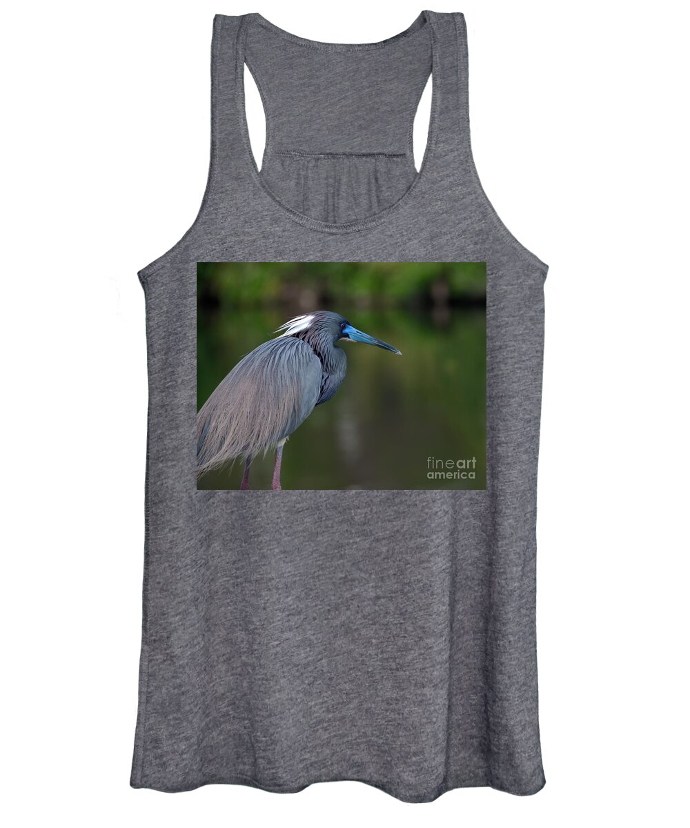 Tri Colored Heron Women's Tank Top featuring the photograph Tricolored Heron by Art Whitton