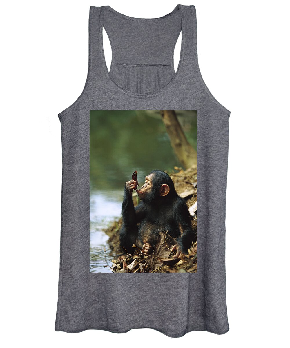 Mp Women's Tank Top featuring the photograph Young Chimpanzee Using A Leaf to Drink by Cyril Ruoso