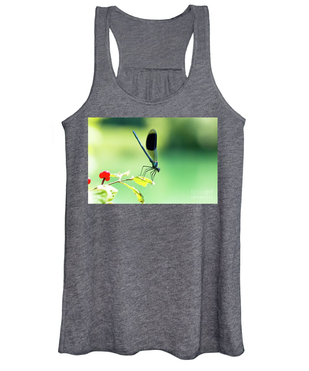 Countryside Women's Tank Top featuring the photograph Broad-winged Damselfly, Dragonfly by Amanda Mohler