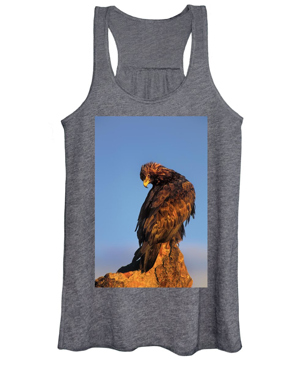 Dave Welling Women's Tank Top featuring the photograph Golden Eagle Aquila Chrysaetos Captive Colorado #1 by Dave Welling