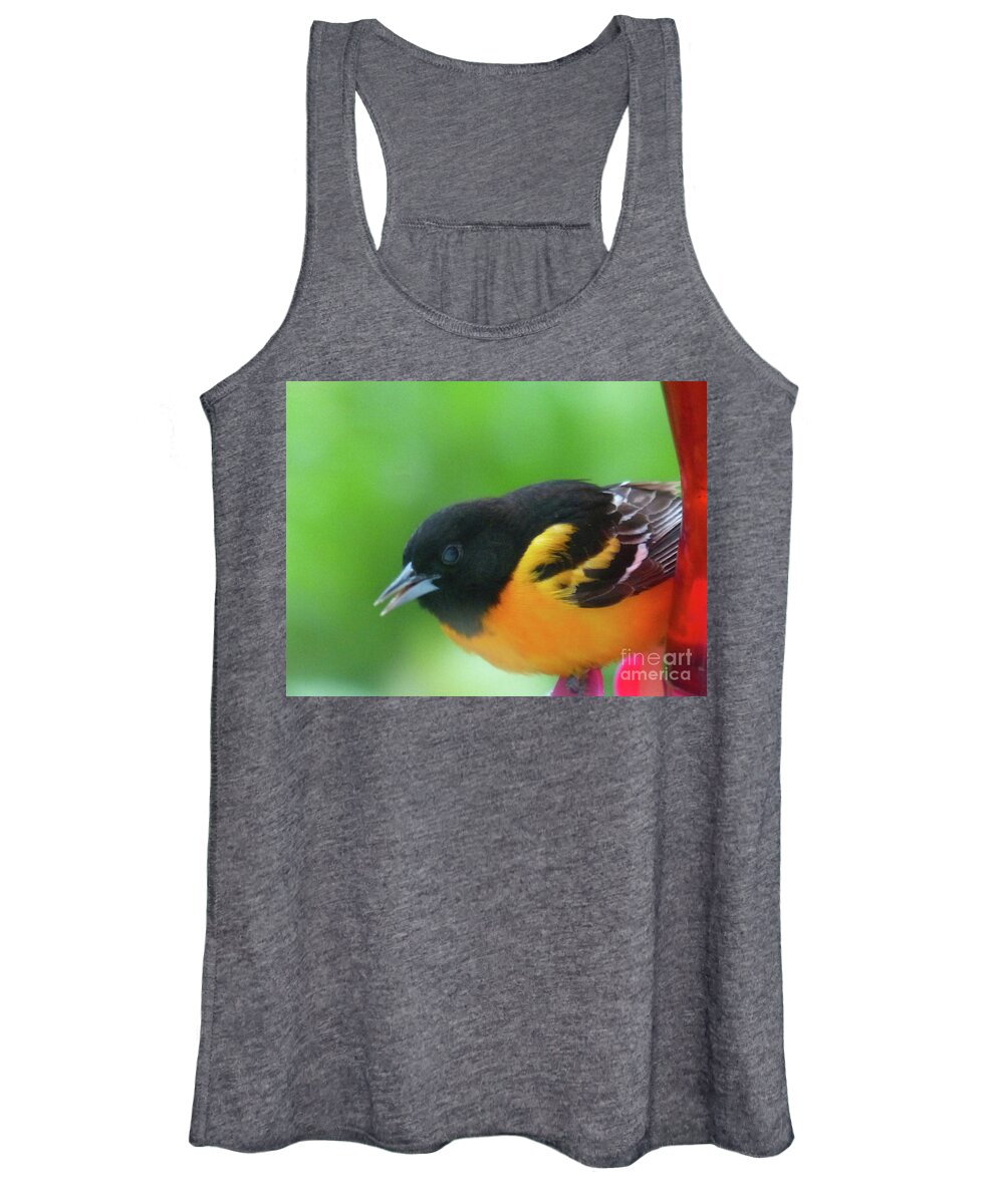 Through The Window Women's Tank Top featuring the photograph Good Morning Mr. Oriole #1 by Rosanne Licciardi