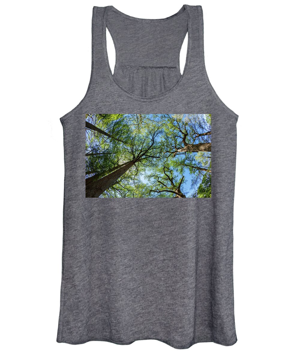 Austin Women's Tank Top featuring the photograph Majestic Cypress Trees by Raul Rodriguez