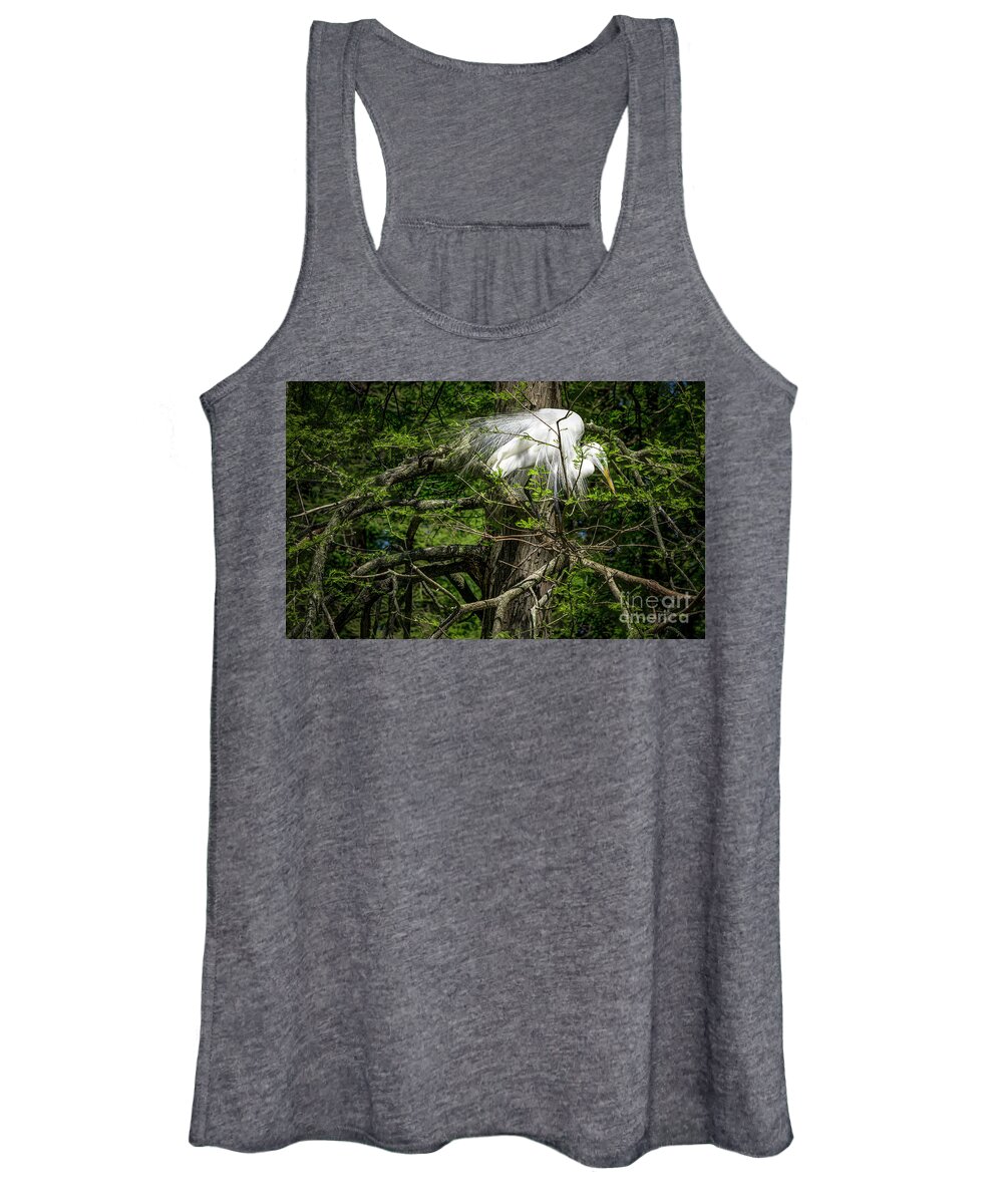 Egret Women's Tank Top featuring the photograph Nesting Egret #1 by David Smith