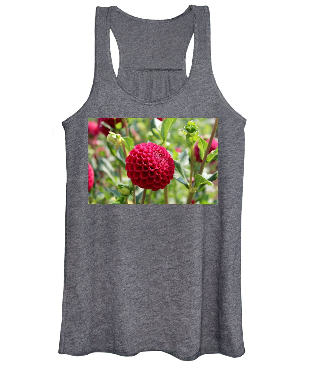 Dahlia Women's Tank Top featuring the photograph Red Dahlia #1 by Brian Eberly