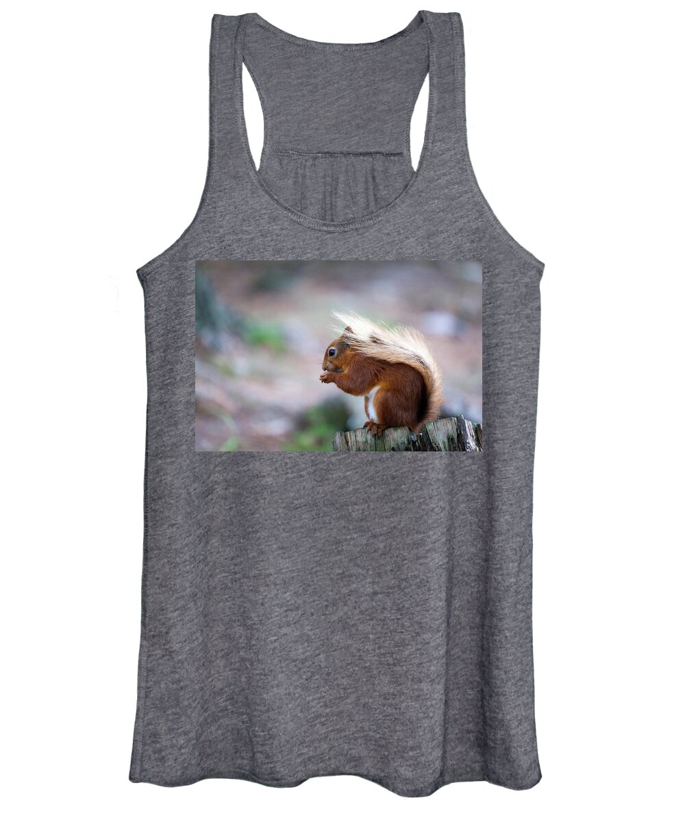 Red Squirrel Women's Tank Top featuring the photograph Red Squirrel #2 by Anita Nicholson