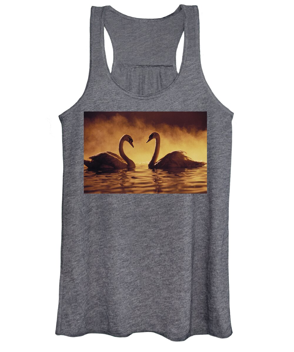Afternoon Women's Tank Top featuring the photograph Romantic African Swans #1 by Brent Black - Printscapes