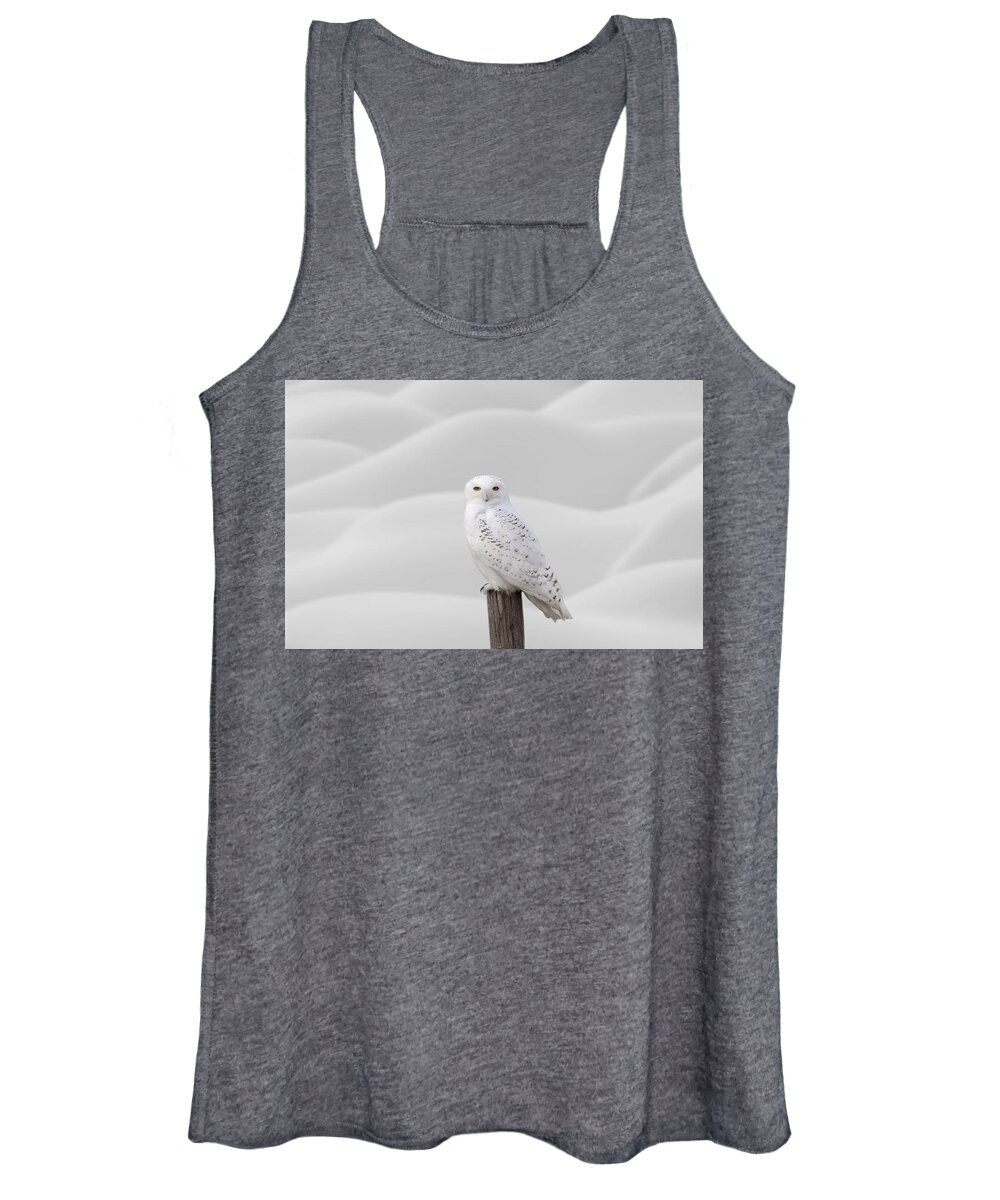Snowy Owl Women's Tank Top featuring the photograph Snowy Owl #1 by Mark Duffy