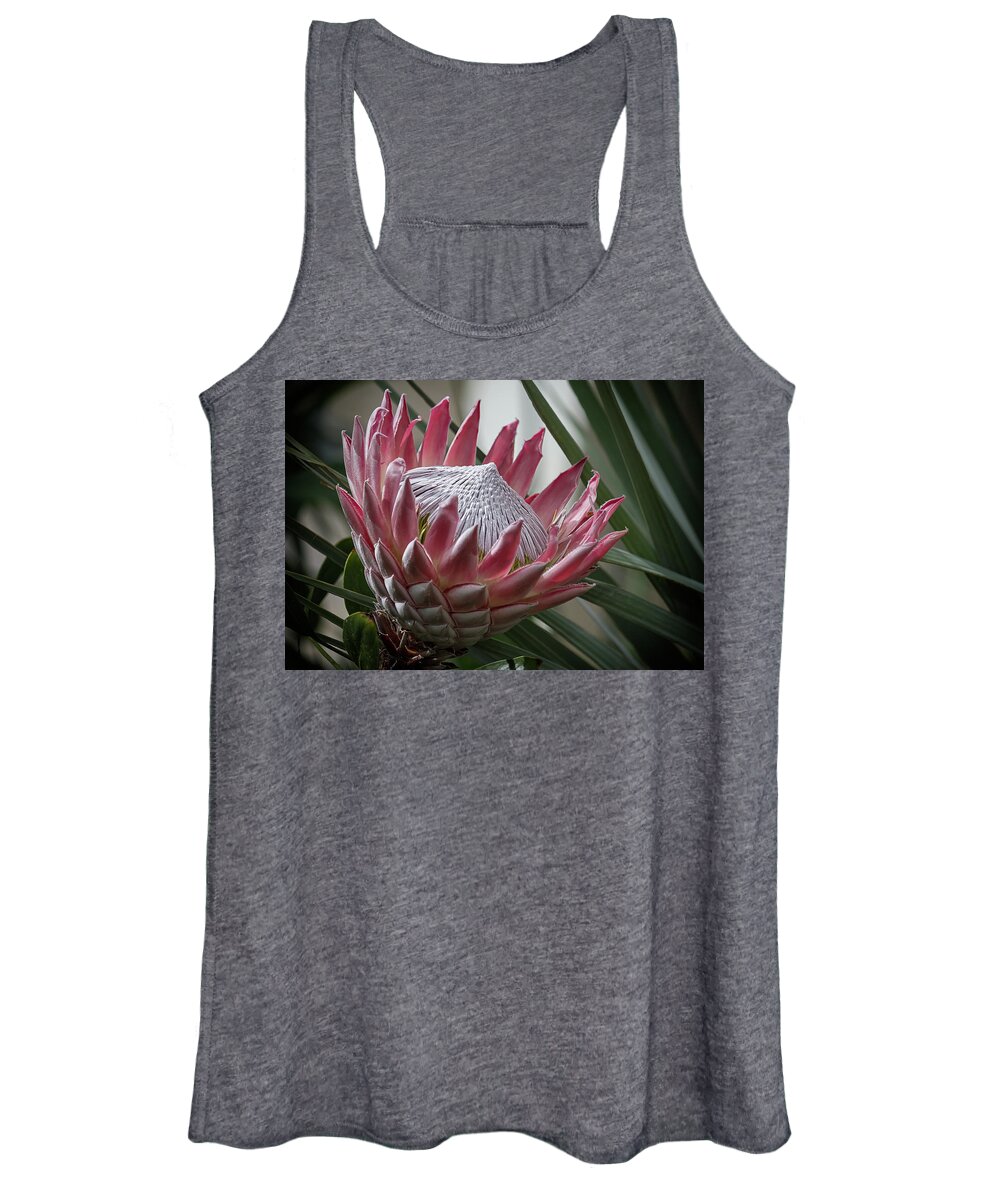 Protea Women's Tank Top featuring the photograph The King of Proteas #1 by Shirley Mitchell