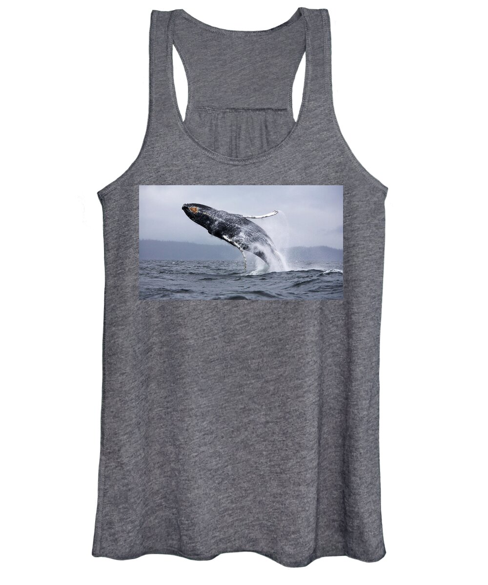 Whale Women's Tank Top featuring the photograph Whale #1 by Jackie Russo