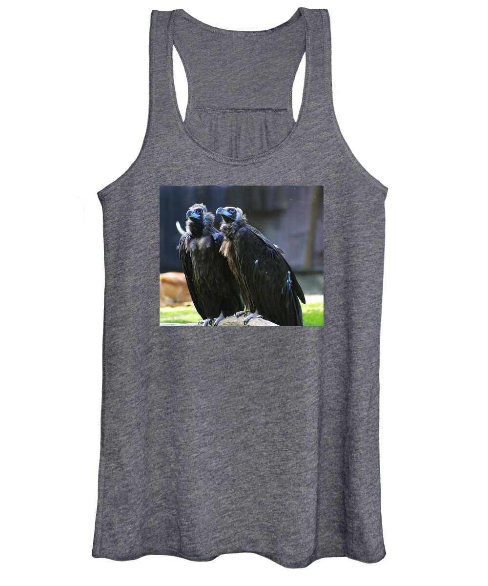 Zoo Women's Tank Top featuring the photograph Zoo Scapes #18 by Jean Wolfrum