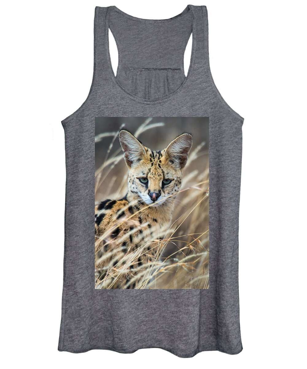 Photography Women's Tank Top featuring the photograph Close-up Of Serval Leptailurus Serval #2 by Panoramic Images