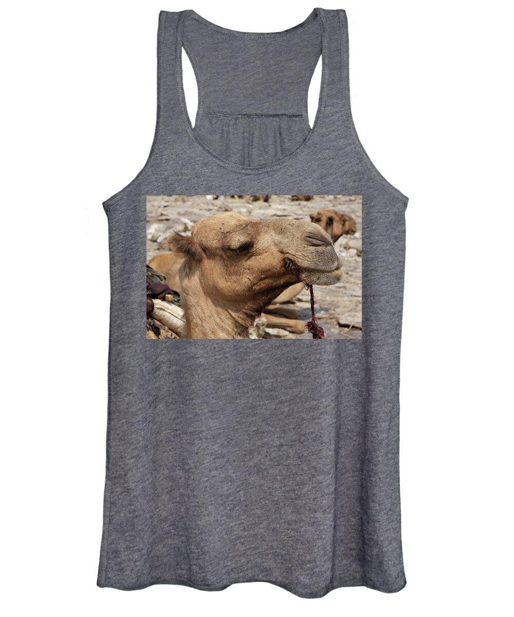 Horn Of Africa Women's Tank Top featuring the photograph Time For A Snooze #3 by Aidan Moran