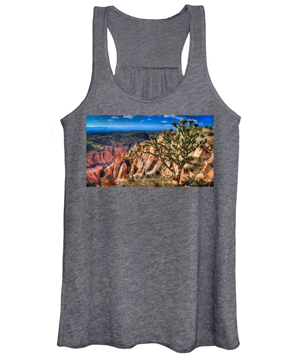 New Mexico Women's Tank Top featuring the photograph New Mexico 28 by David Henningsen
