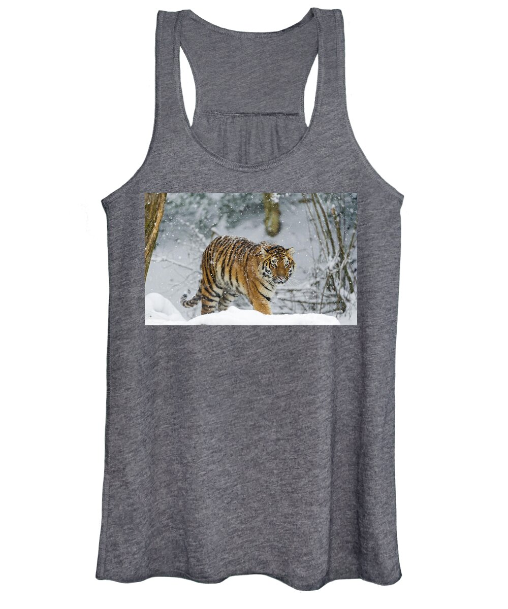 Tiger Women's Tank Top featuring the photograph Tiger #21 by Jackie Russo