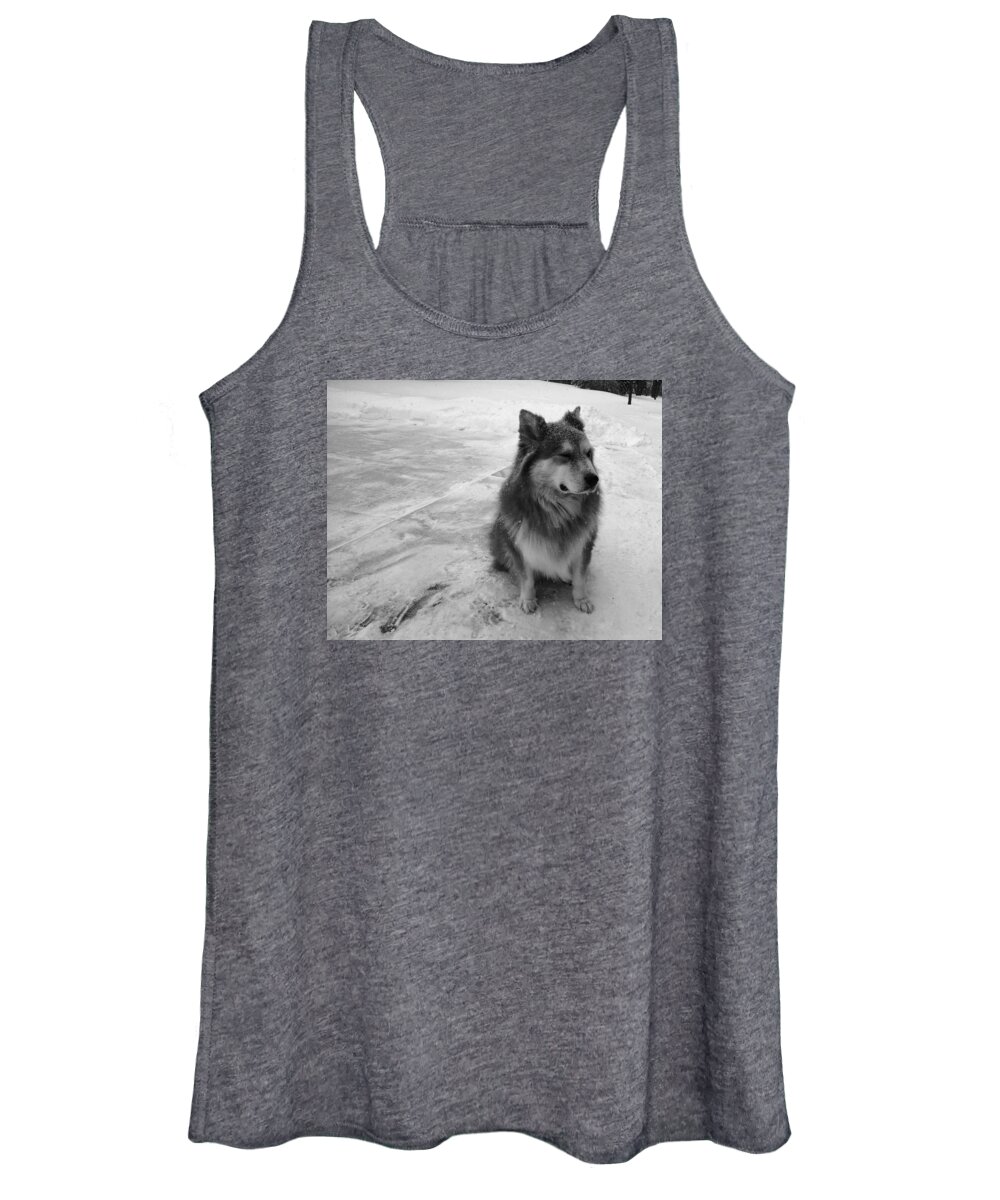 Dog Women's Tank Top featuring the photograph The Wonder Dog #3 by Brad Nellis