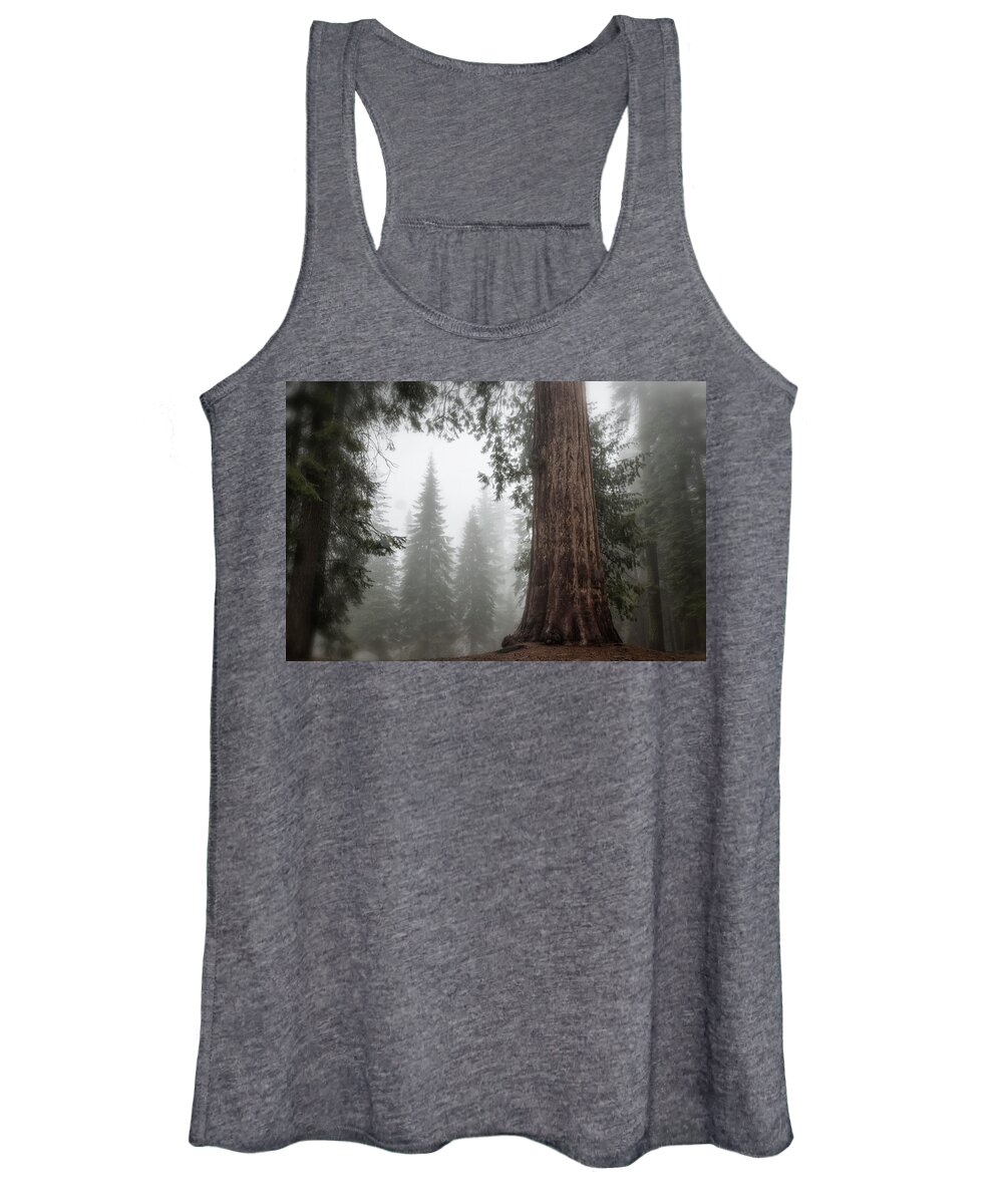 Sequoias Women's Tank Top featuring the photograph A Giant in the Fog by Belinda Greb