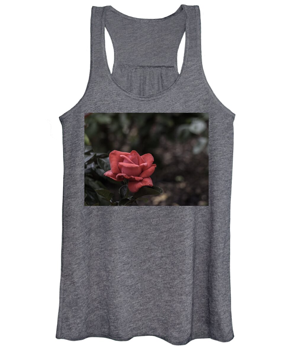 Rose Women's Tank Top featuring the photograph A Red Beauty by Ed Clark