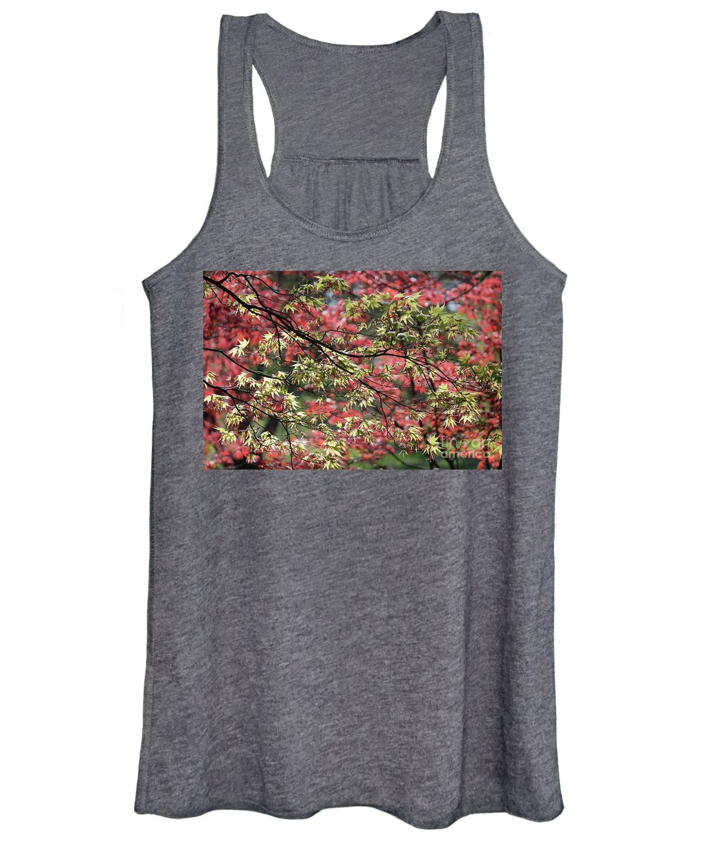 Acer Leaves In Spring Women's Tank Top featuring the photograph Acer leaves in Spring by Julia Gavin