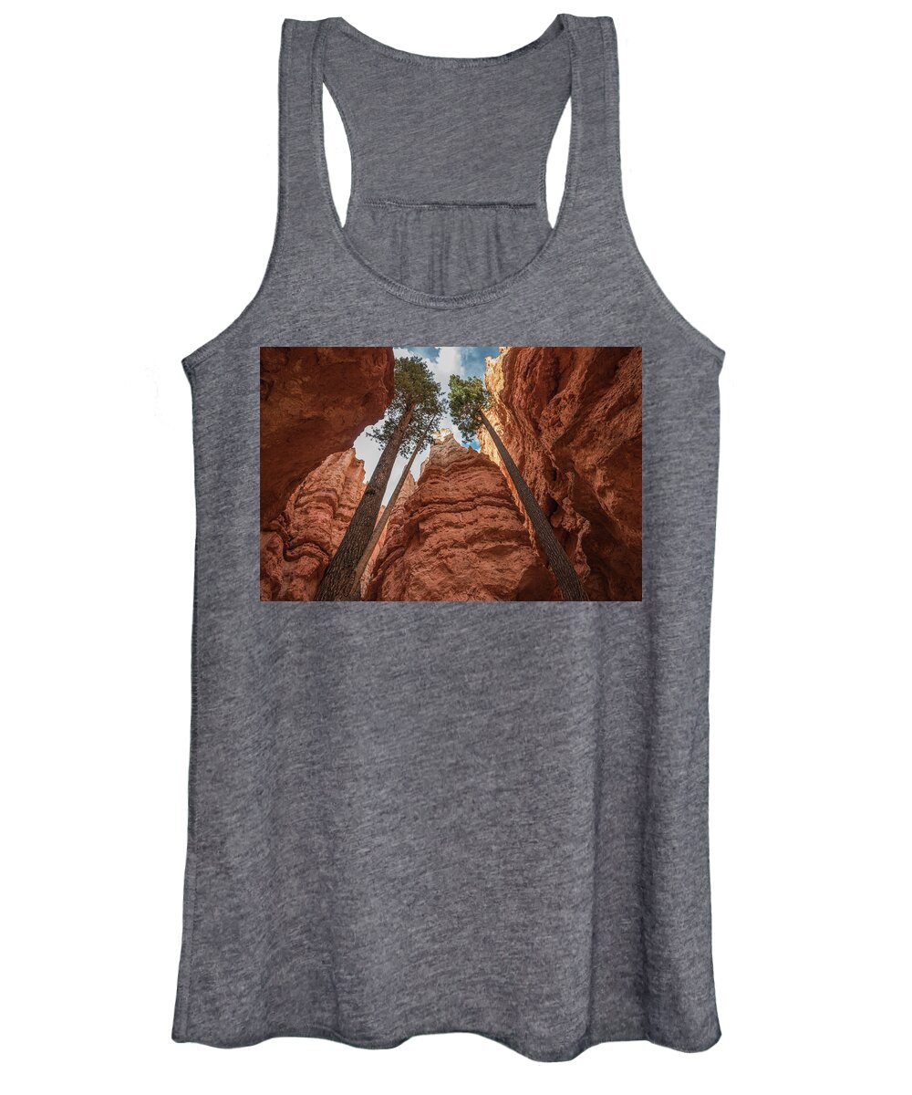 Tree Women's Tank Top featuring the photograph Against the Odds by Jody Partin
