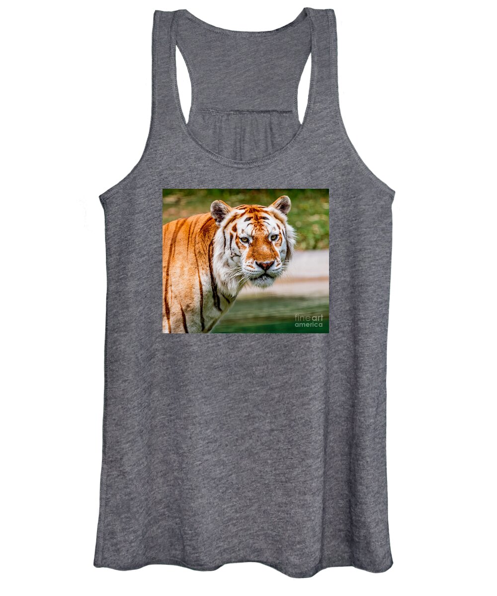 Animal Women's Tank Top featuring the photograph Aging Tiger by Ray Shiu