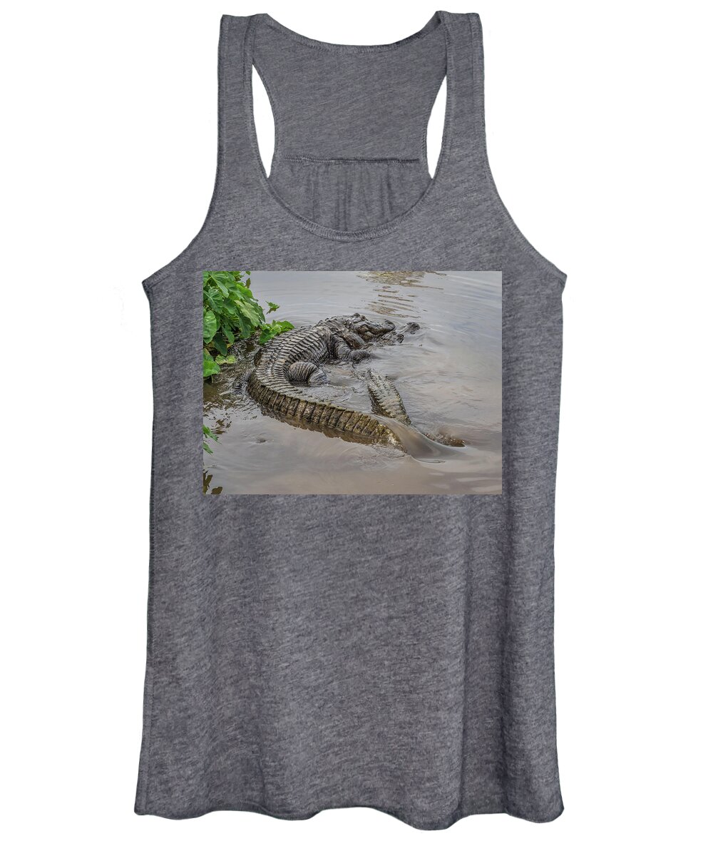 Alligator Women's Tank Top featuring the photograph Alligators Courting by Steve Zimic
