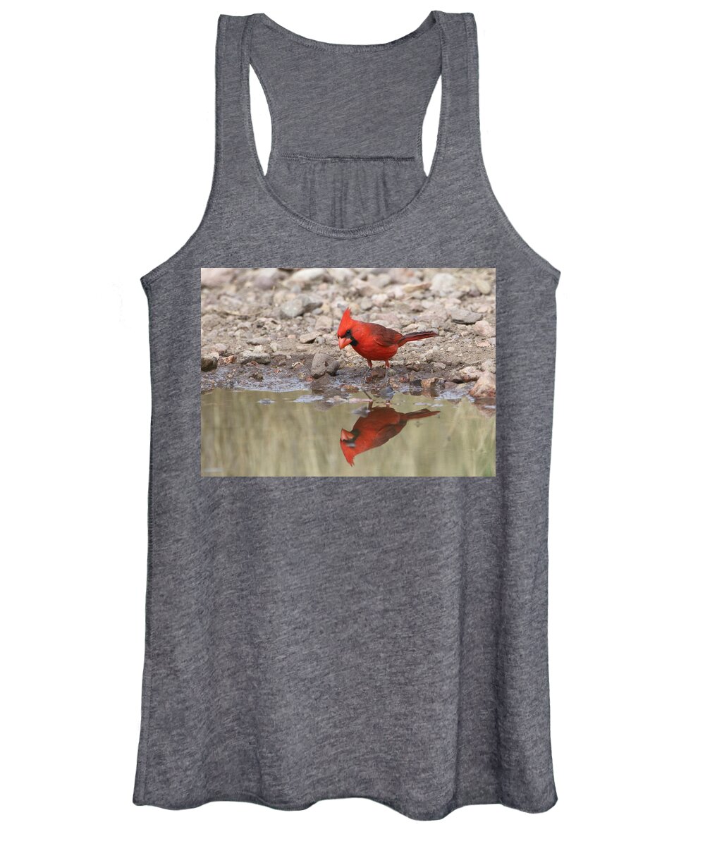Bird Women's Tank Top featuring the photograph Aren't I A Handsome Devil by Steve Wolfe
